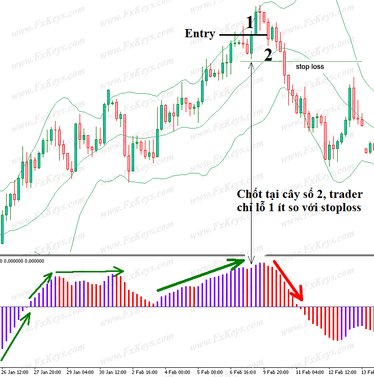 BUY_ngay_đỉnh.gif