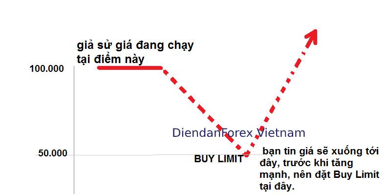 Buy_Limit_là_gì.jpg