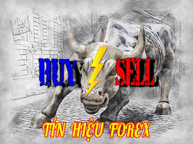 tin hieu forex