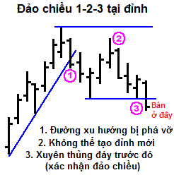 dao-chieu 1