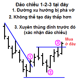 dao-chieu 2