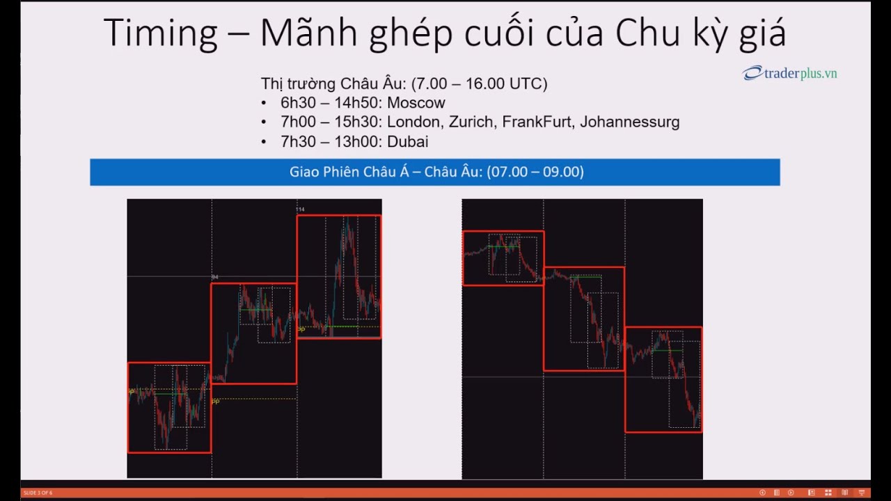 Phương_pháp_Forex_Timing.jpg