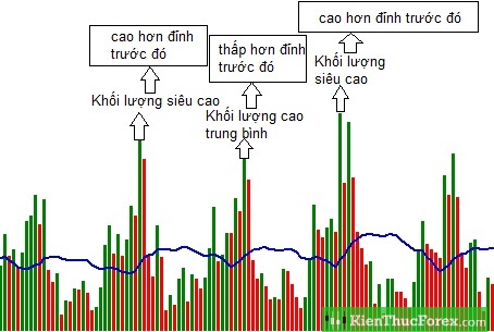 biến_động_giá_của_phiên_giao_dịch.jpg