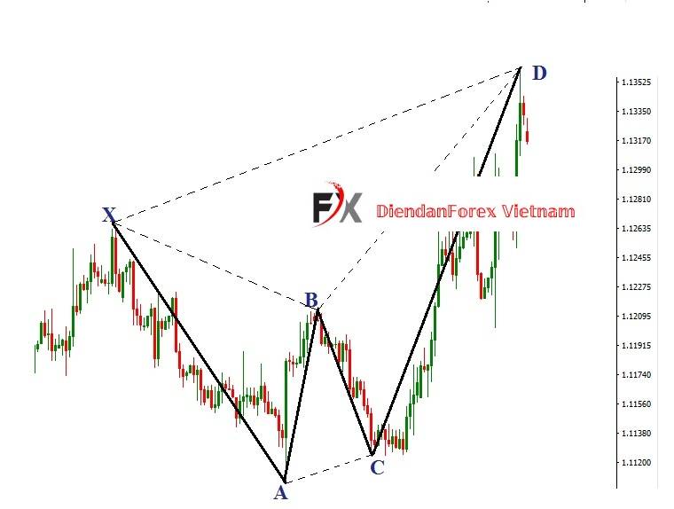 các_tỷ_lệ_Fibonacci_đo_được_phù_hợp.jpg