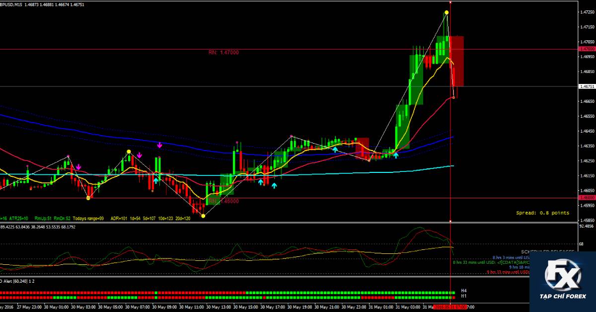 hướng_dẫn_forex_việt_nam.jpg