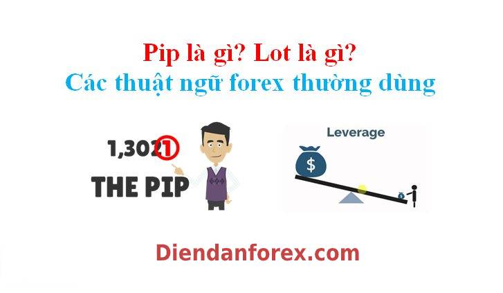 lot_forex_là_gì.jpg