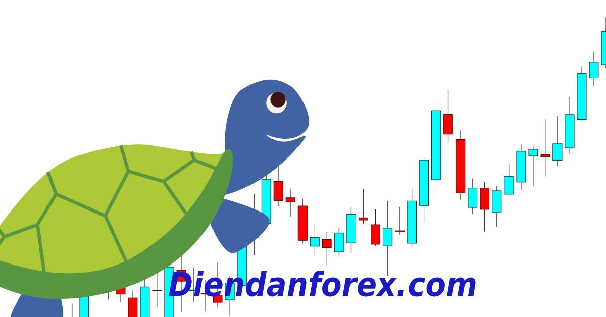 rùa_forex.jpg