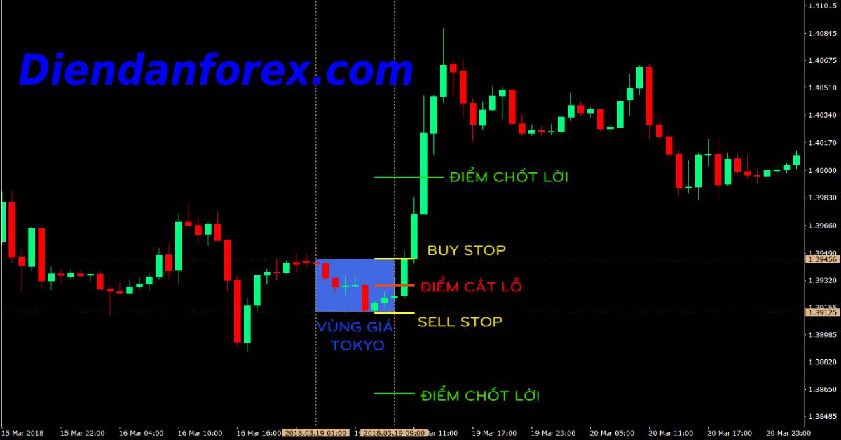 tiềm_năng_trong_giao_dịch_Forex.jpg