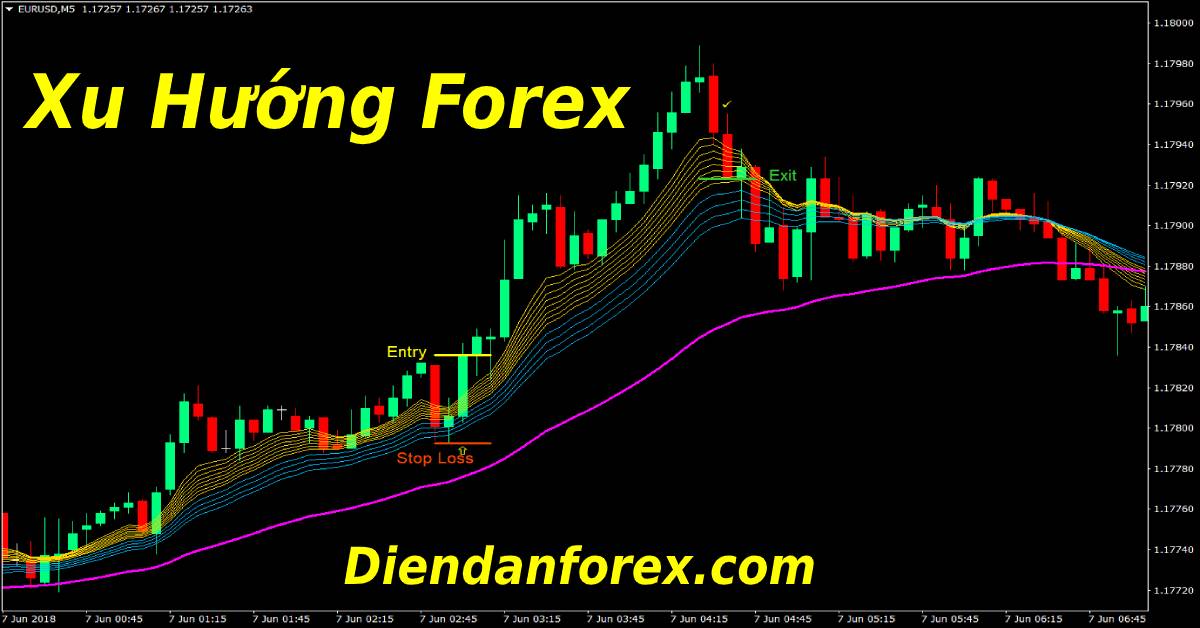 đường_xu_hướng_forex.jpg