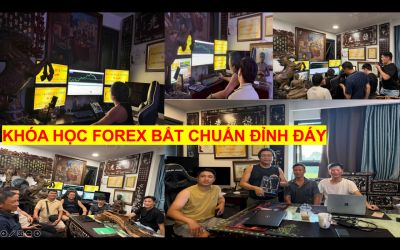 KH&Oacute;A HỌC FOREX BẮT CHUẨN ĐỈNH Đ&Aacute;Y