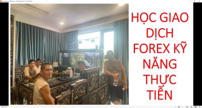 HỌC GIAO DỊCH FOREX KỸ NĂNG THỰC TIỄN