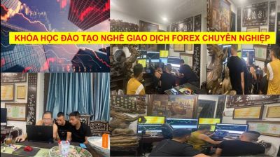 KHÓA HỌC ĐÀO TẠO NGHỀ GIAO DỊCH FOREX  CHUYÊN NGHIỆP