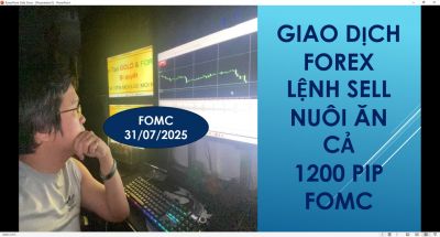BỌN LỪA ĐẢO FOREX LÀM GÌ CÓ KỸ NĂNG GIAO DỊCH ĐỂ MÀ DẪN CHỨNG ĐƯỢC LỊCH SỬ CỦA CHÚNG