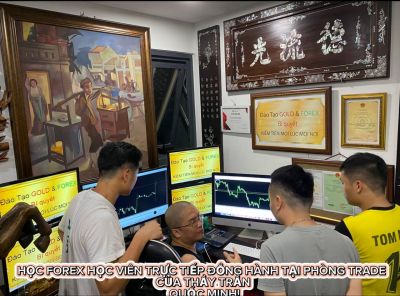 TÀI LIỆU FOREX NÀO CÓ THỂ GIÚP ĐƯỢC NHÀ ĐẦU TƯ KHI KHÔNG CO ĐƯỢC NGƯỜI CHỨNG MINH THỰC TẾ