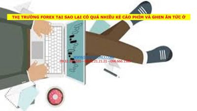THỊ TRƯỜNG FOREX TẠI SAO LẠI CÓ QUÁ NHIỀU KẺ CÀO PHÍM VÀ GHEN ĂN TỨC Ở