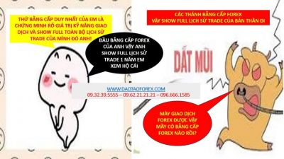 CÁC THÁNH BẰNG CẤP FOREX VẬY SHOW FULL LỊCH SỬ TRADE CỦA BẢN THÂN ĐI