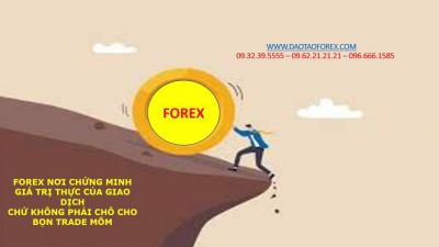 FOREX NƠI CHỨNG MINH GIÁ TRỊ THỰC CỦA GIAO DỊCH CHỨ KHÔNG PHẢI CHỖ CHO BỌN TRADE MÕM