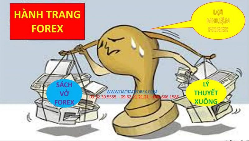 HÀNH TRANG CHO NGƯỜI MỚI TÌM HIỂU FOREX PHẢI NẮM 