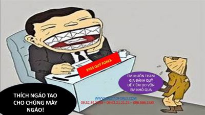 Đ&Atilde; L&Agrave; MỘT FOREX TRADER TH&Igrave; ĐỪNG C&Oacute; ĐỢI LỆNH CỦA AI