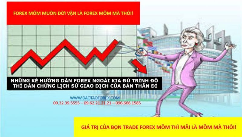 NHỮNG KẺ HƯỚNG DẪN FOREX NGOÀI KIA ĐỦ TRÌNH ĐỘ THÌ DẪN CHỨNG LỊCH SỬ GIAO DỊCH CỦA BẢN THÂN ĐI