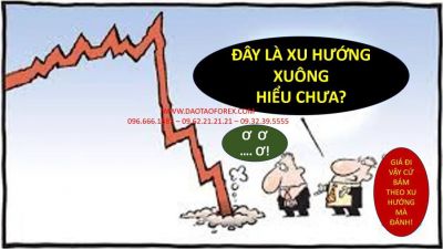 TRIẾT LÝ FOREX DỞM TAO ĐỐ NÓ DÁM CHỨNG MINH KỸ NĂNG GIAO DICH FOREX VÀ LỊCH SỬ TRADE CỦA NÓ ĐÓ