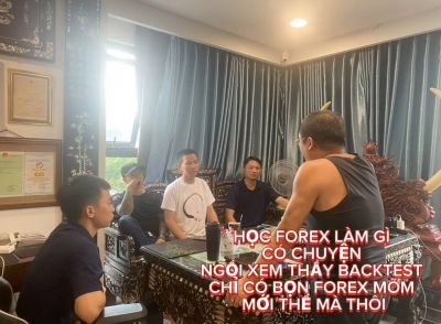 HỌC FOREX LÀM GÌ CÓ CHUYỆN NGỒI XEM THẦY BACKTEST CHỈ CÓ BỌN FOREX MÕM MỚI THỂ MÀ THÔI