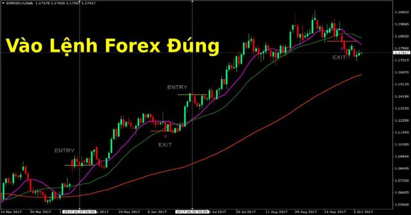 Group Forex | Học Viên Hoạt Động Trao Đổi Hàng Ngày